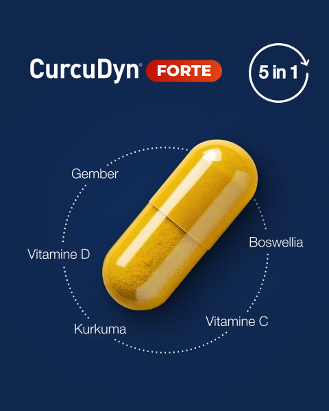 CurcuDyn 5 ingredients