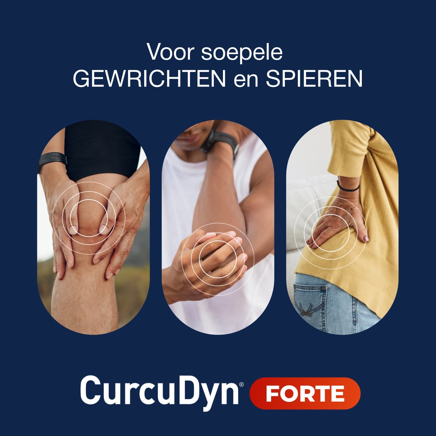 CurcuDyn Forte Capsules