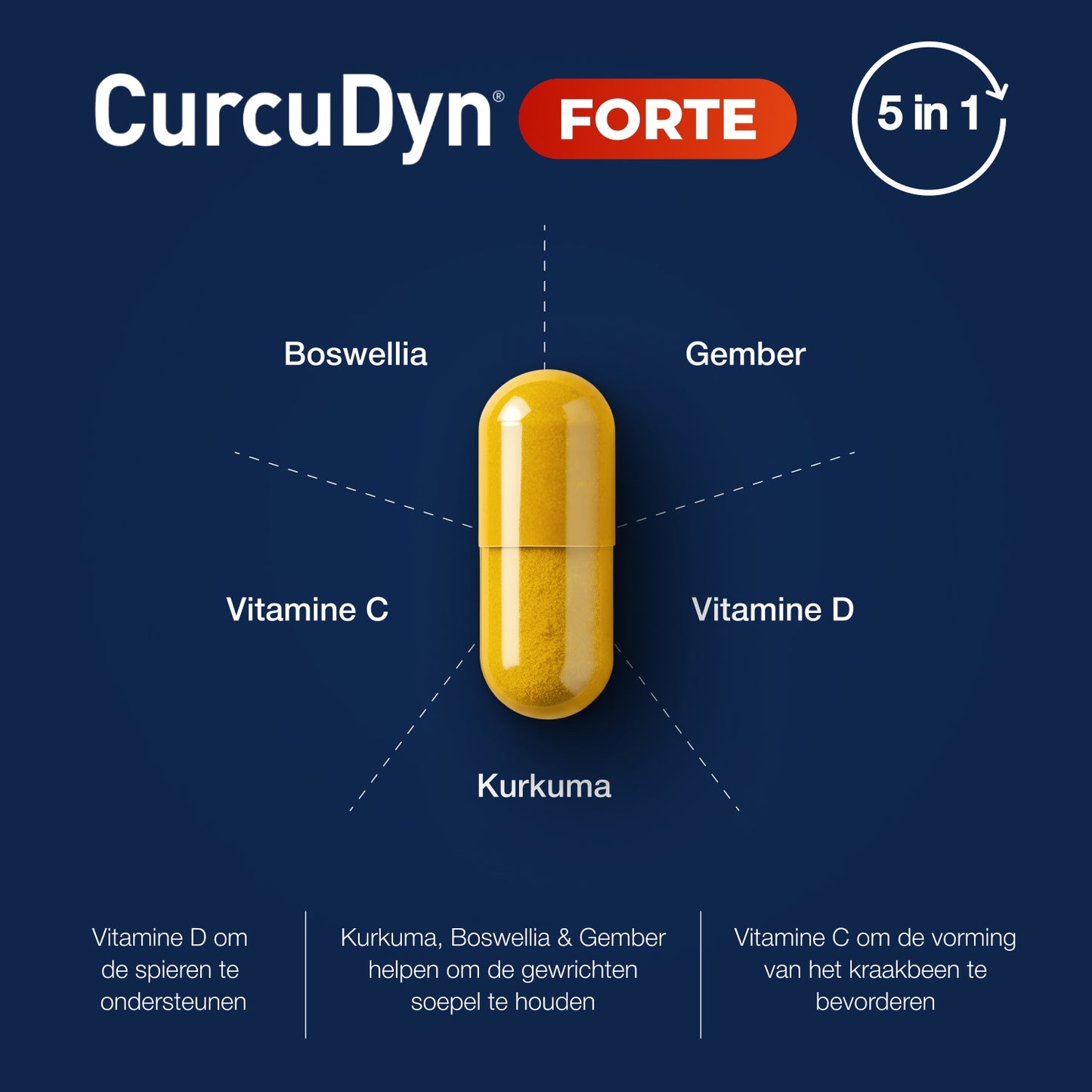 CurcuDyn Forte Capsules