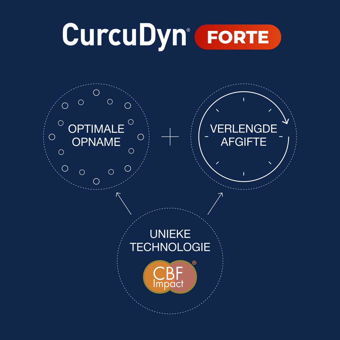 CurcuDyn Forte Capsules