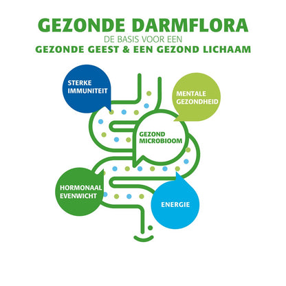 Bactiol Plus Gélules