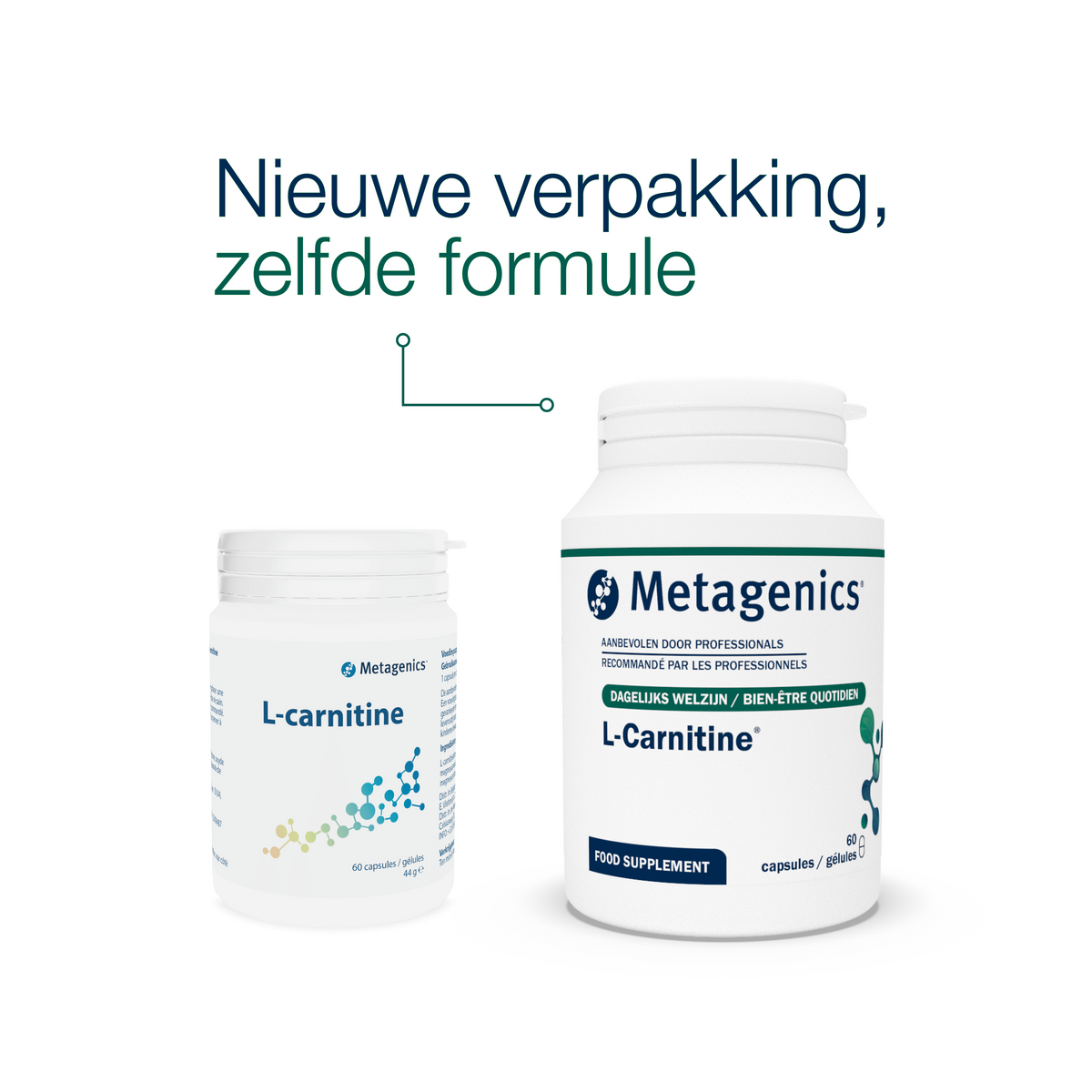 L-Carnitine 60 Capsules