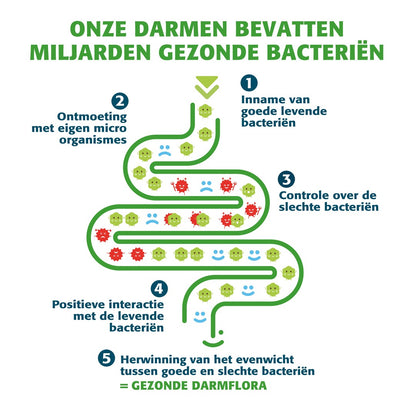 Bactiol Plus Gélules