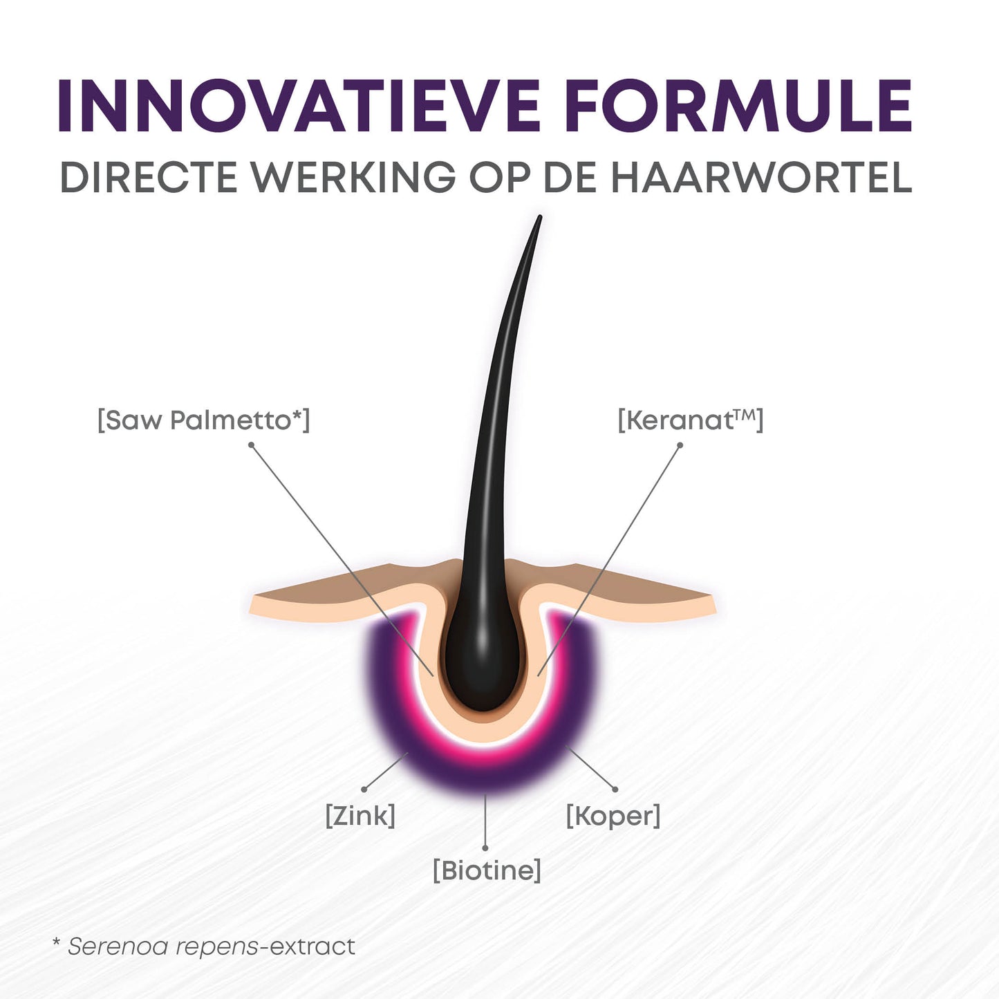 BariNutrics Hair 90 Gélules