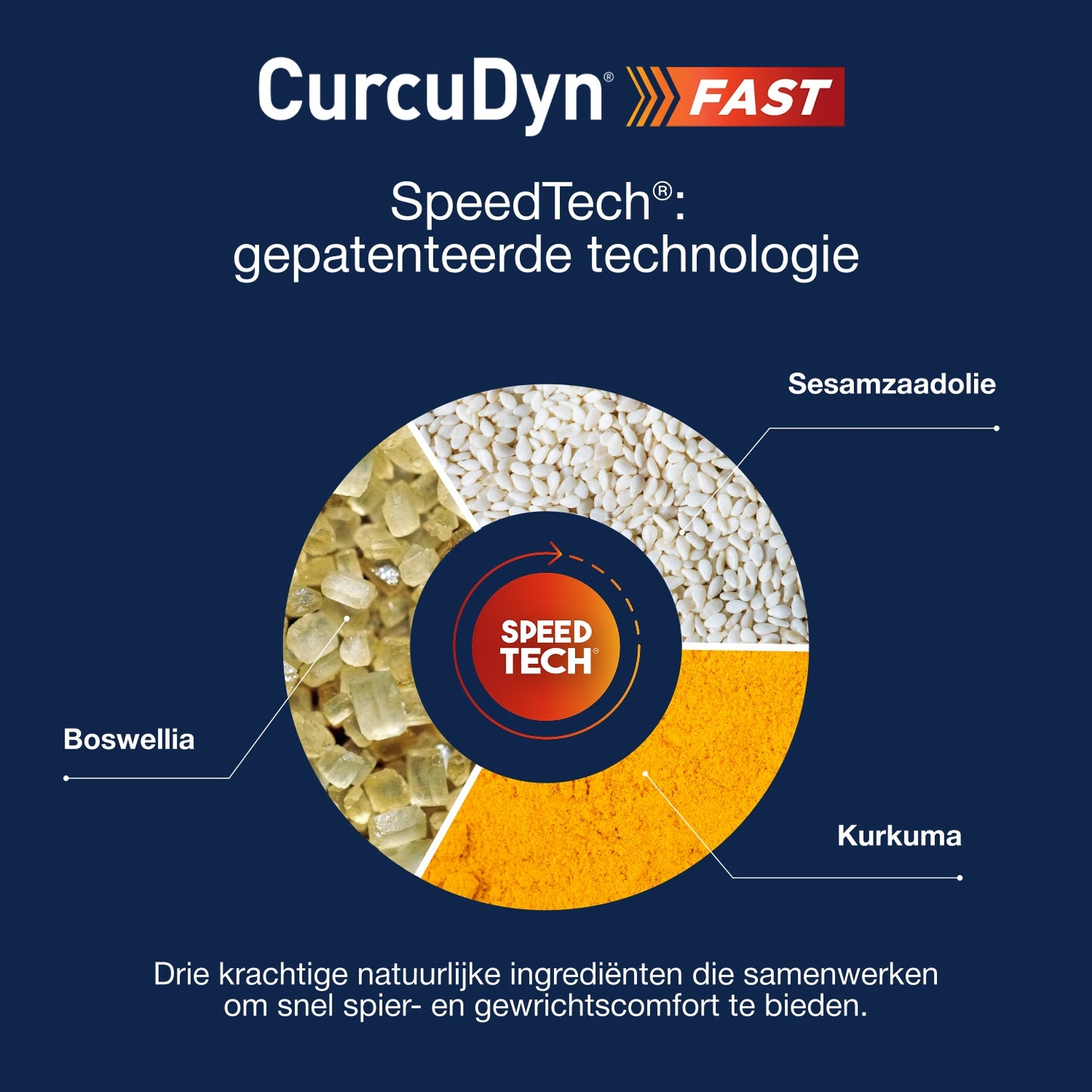 CurcuDyn Fast 15 Capsules