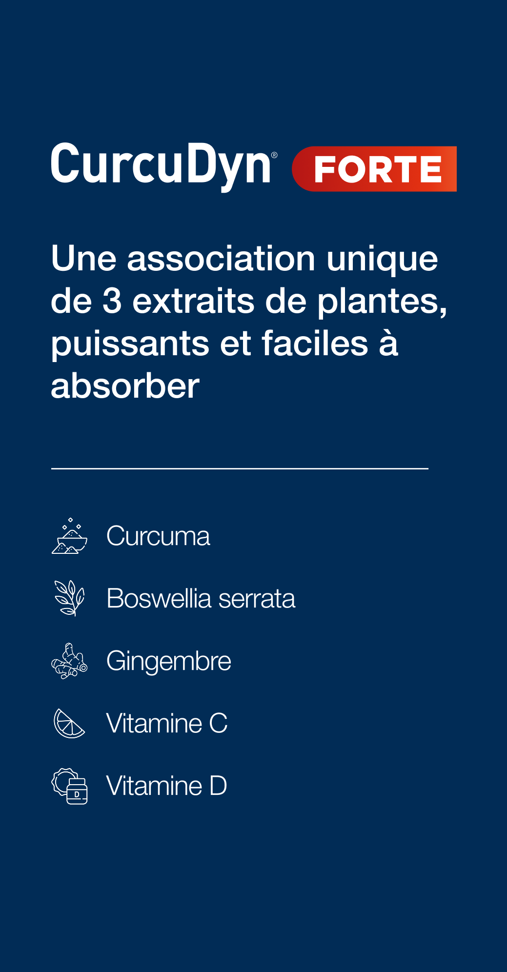 aperçu des ingrédients présents dans CurcuDyn Forte