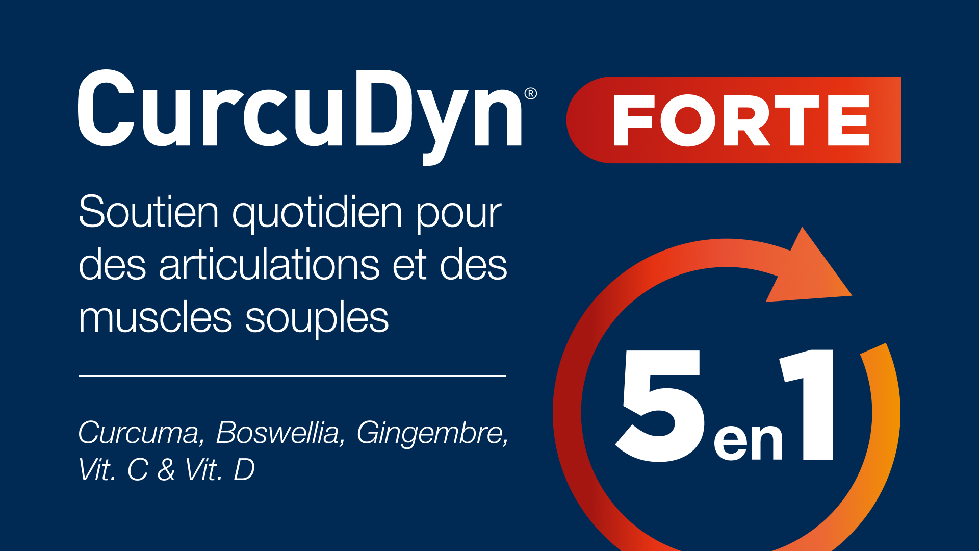 Infographie des ingrédients de Curcudyn Fast