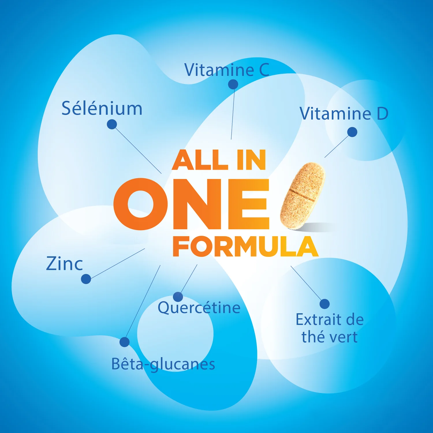 Aperçu de tous les ingrédients présents dans ImmuDefense Forte